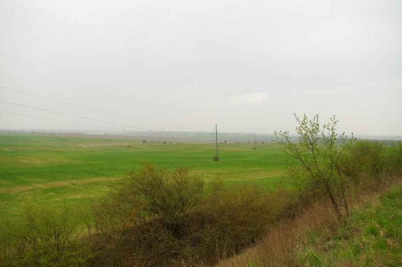 Кустин з panoramio.com - Кустин