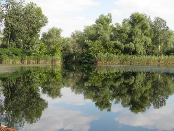Лисогірка з panoramio.com - Лисогірка