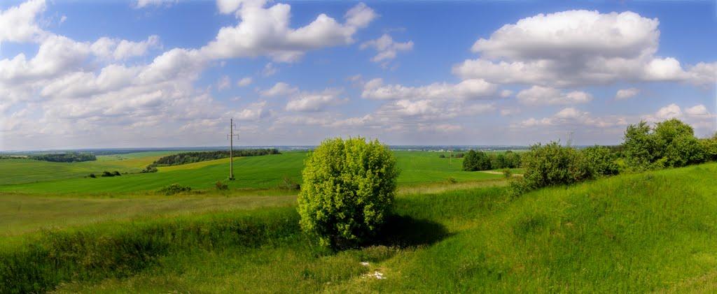 Кустин з panoramio.com - Кустин