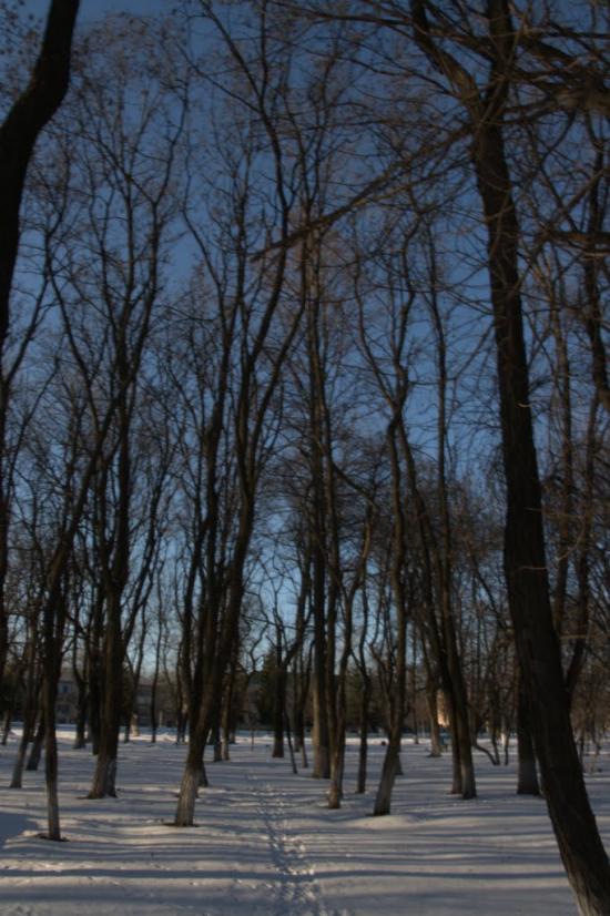 Борова з panoramio.com - Борова