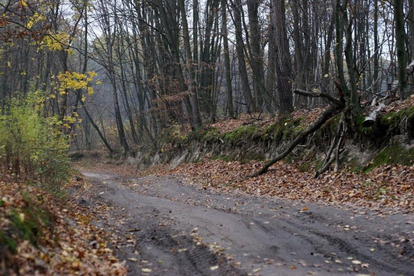 Вербівка з panoramio.com - Вербівка