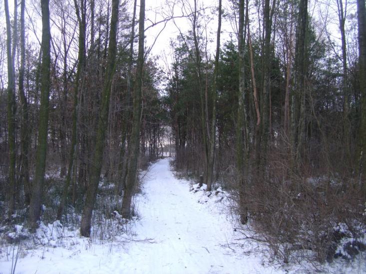Березань з panoramio.com - Berezan