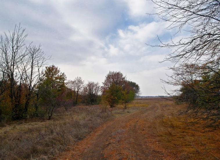 Суворовка з panoramio.com - Суворовка