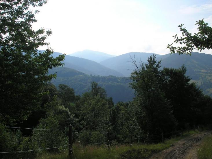 Кваси з panoramio.com - Квасы