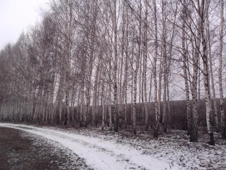 Широка Балка з panoramio.com - Широка Балка