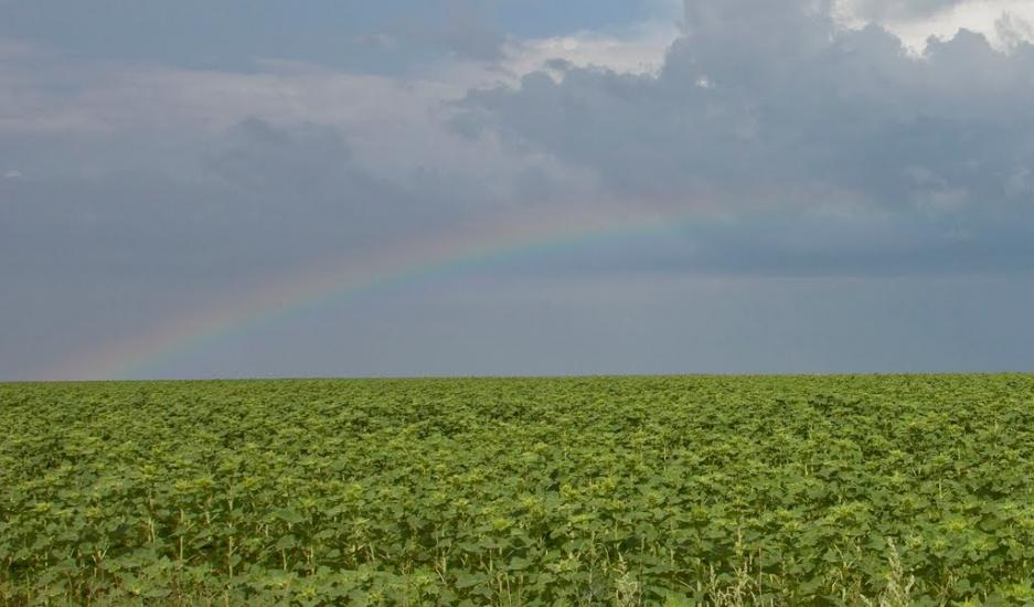 Мелекине з panoramio.com - Мелекино
