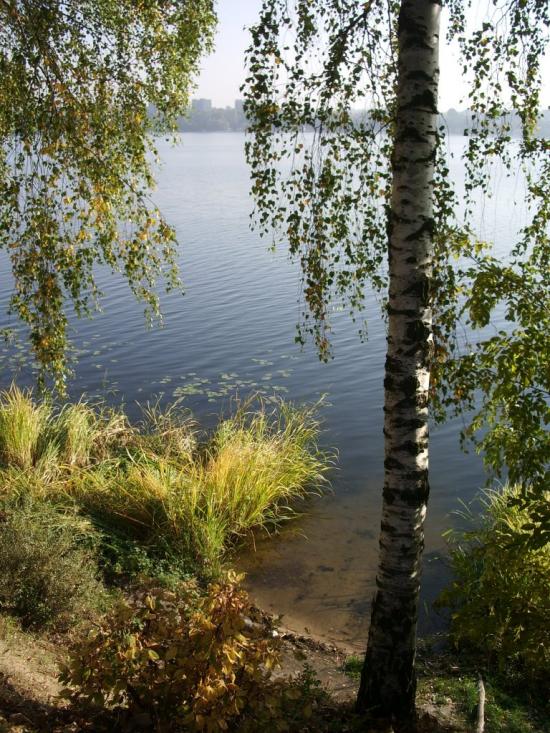 Біла з panoramio.com - Белая