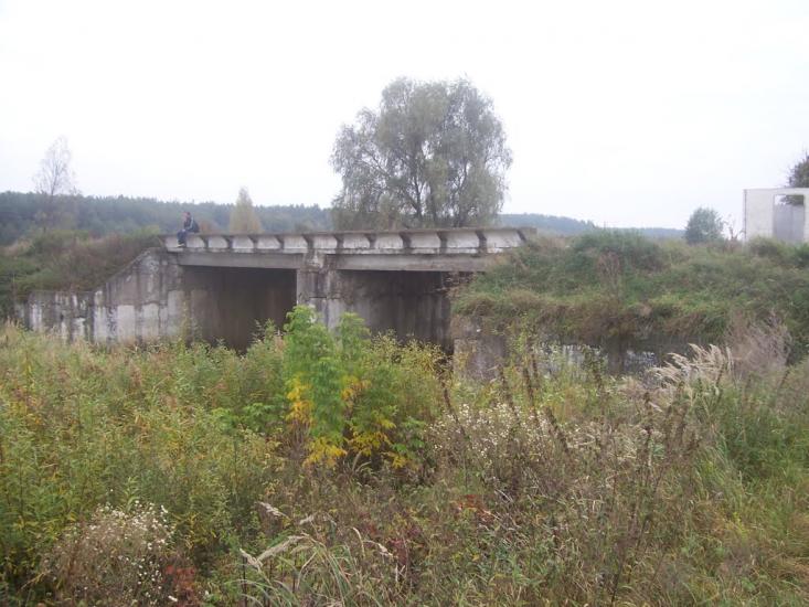 Гута-Межигірська з panoramio.com - Гута-Межигорская