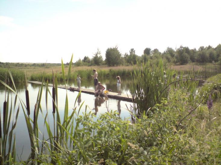 Павлівка з panoramio.com - Павлівка