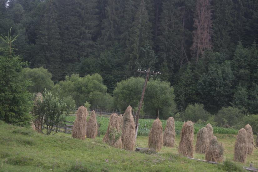 Репинне з panoramio.com - Репинне