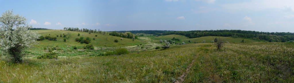 Придніпрянське з panoramio.com - Придніпрянське
