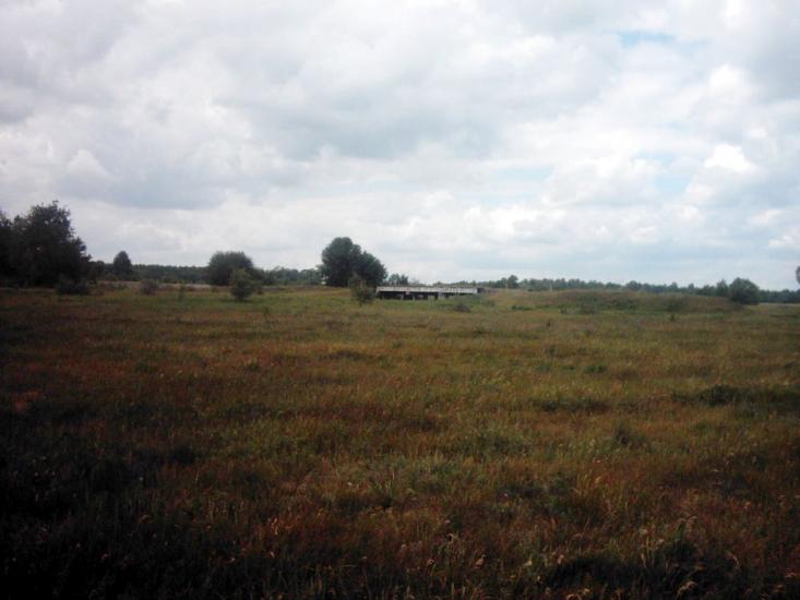 Лисняки з panoramio.com - Лисняки