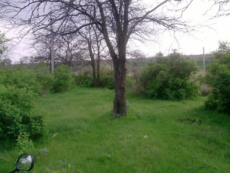 Грибівка з panoramio.com - Грибовка