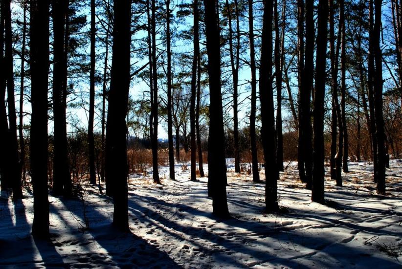 Дзержинське з panoramio.com - Дзержинское