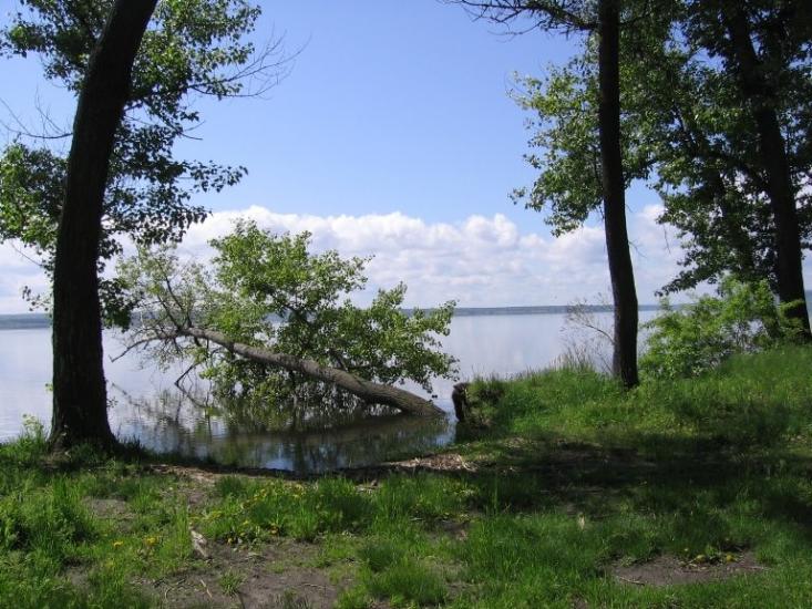 Рубці з panoramio.com - Рубцы