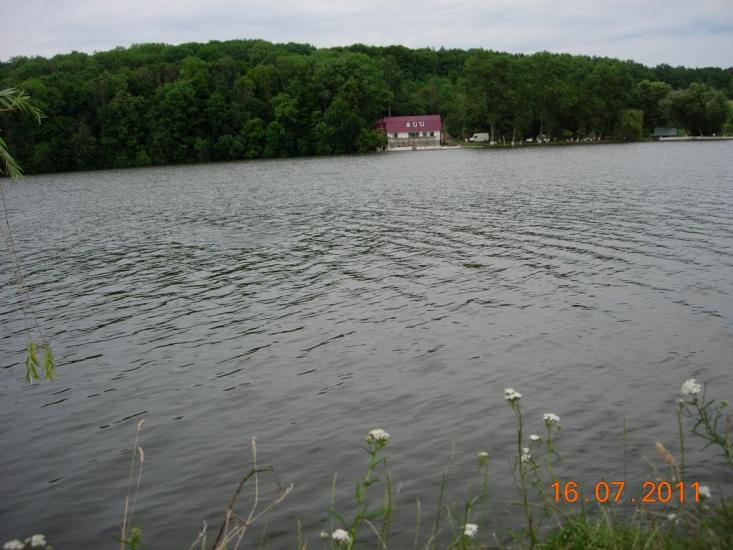 Пашківці з panoramio.com - Пашковцы