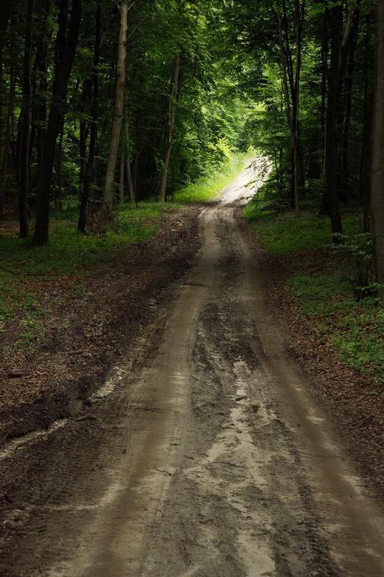 Гавареччина з panoramio.com - Гаваретчина