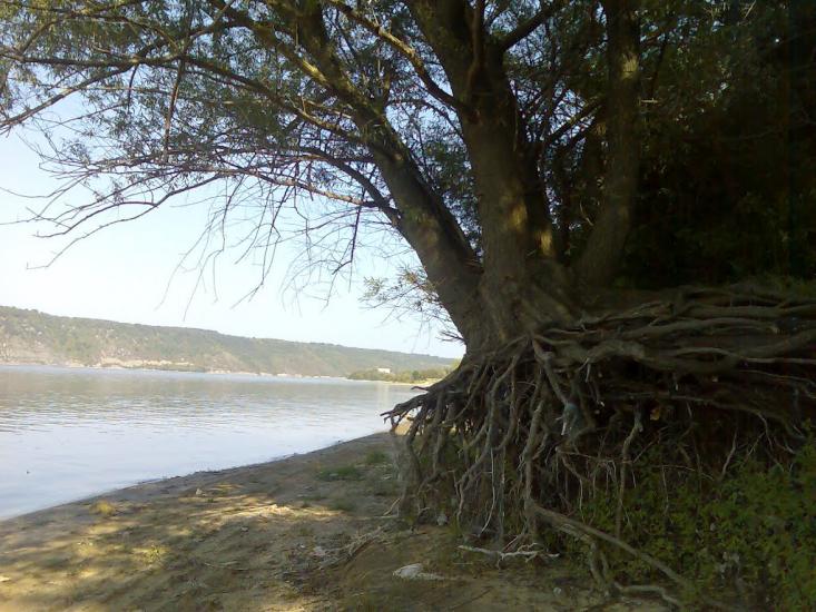 Кормань з panoramio.com - Кормань