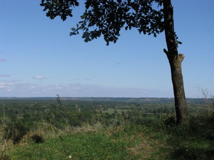 Яреськи з panoramio.com - Яреськи