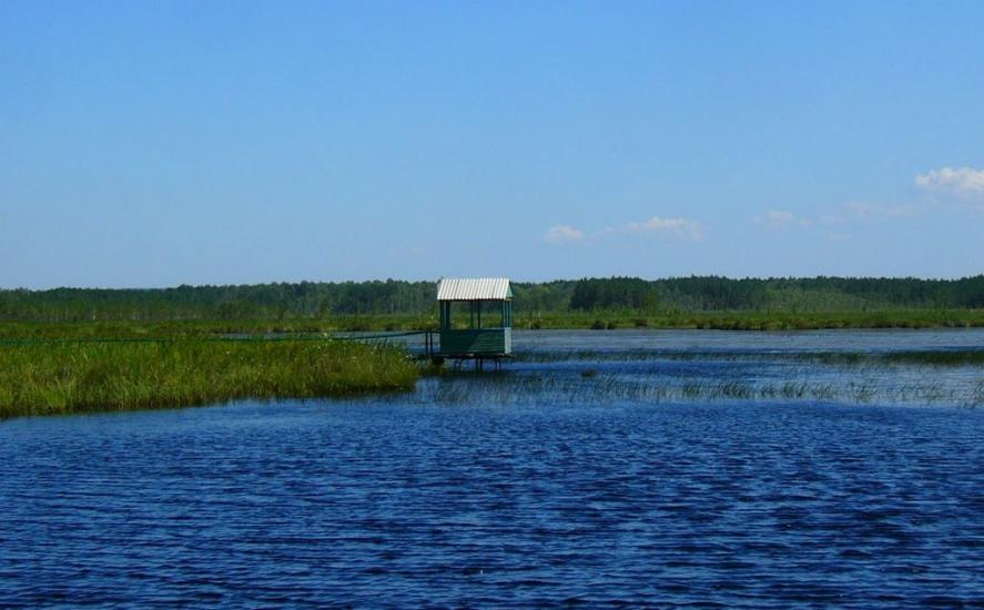 Кованка з panoramio.com - Кованка