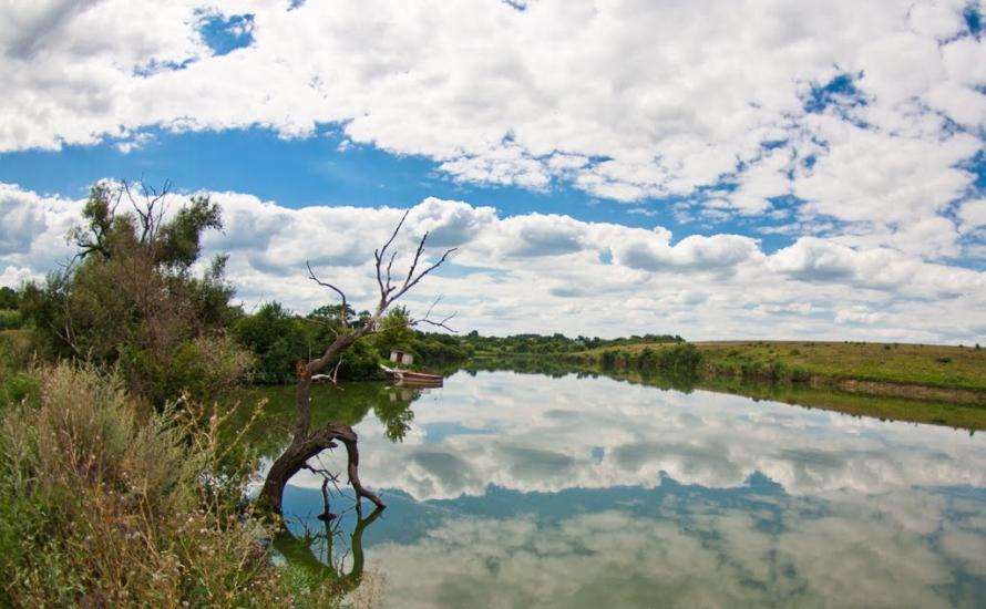 Миколаївські Сади з panoramio.com - Миколаївські Сади