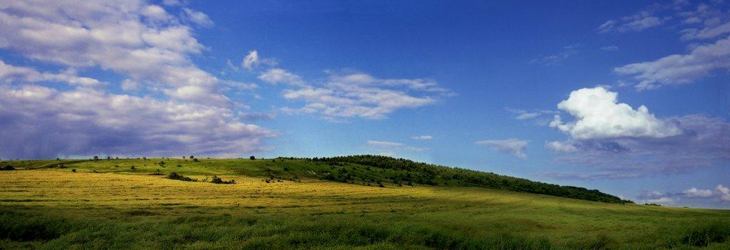 Підлисся з panoramio.com - Підлисся
