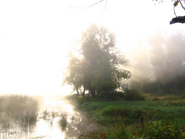 Пискунівка з panoramio.com - Pyskunivka