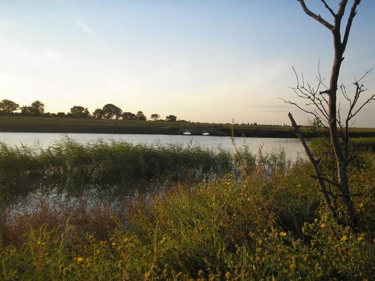 Баштанка з panoramio.com - Баштанка