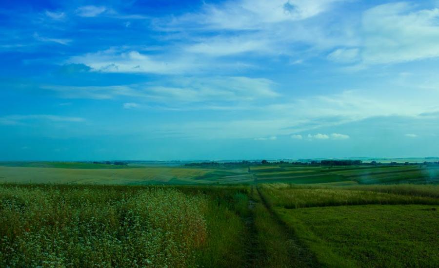 Борщівка з panoramio.com - Борщівка