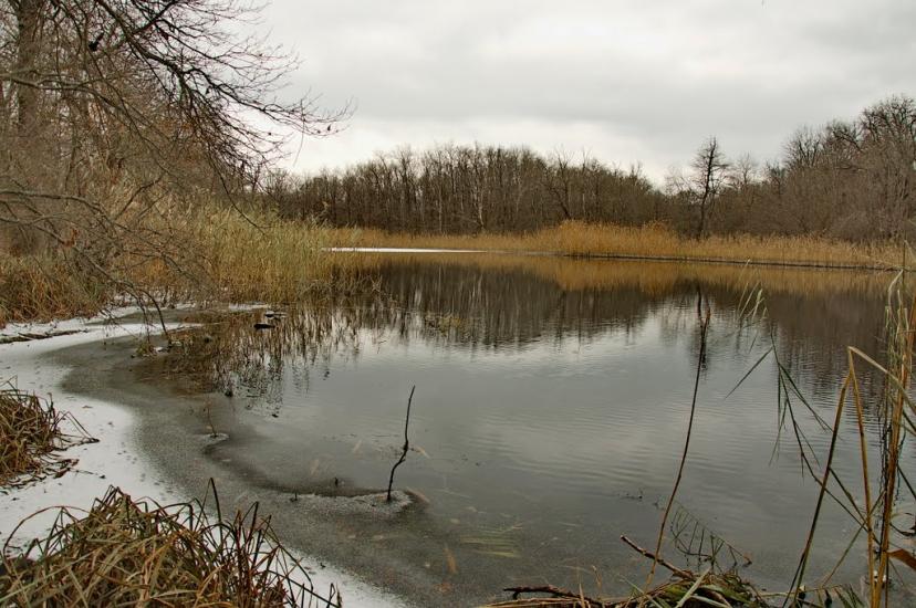 Серебрянка з panoramio.com - Serebryanka