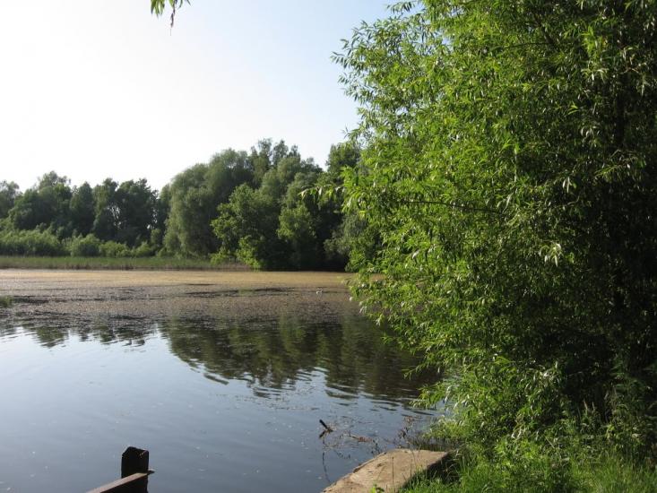 Кищенці з panoramio.com - Kyschentsi