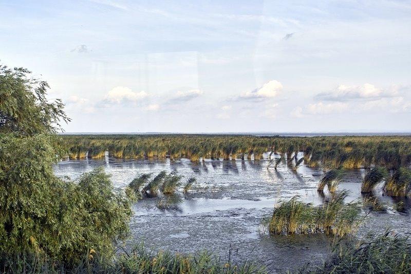 Нова Некрасівка з panoramio.com - Nova Nekrasivka