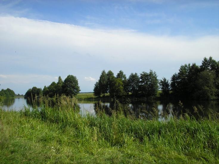 Берестовець з panoramio.com - Берестовец