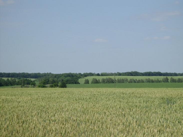 Брагинці з panoramio.com - Брагинці