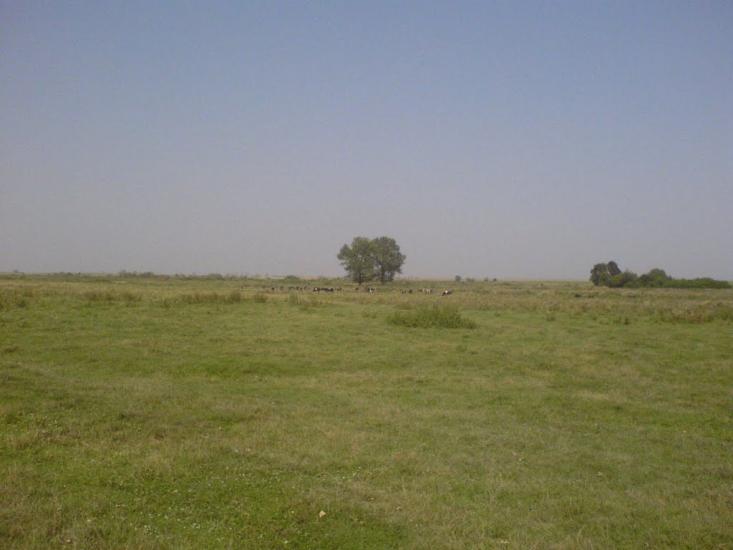 Кривичі з panoramio.com - Кривичі