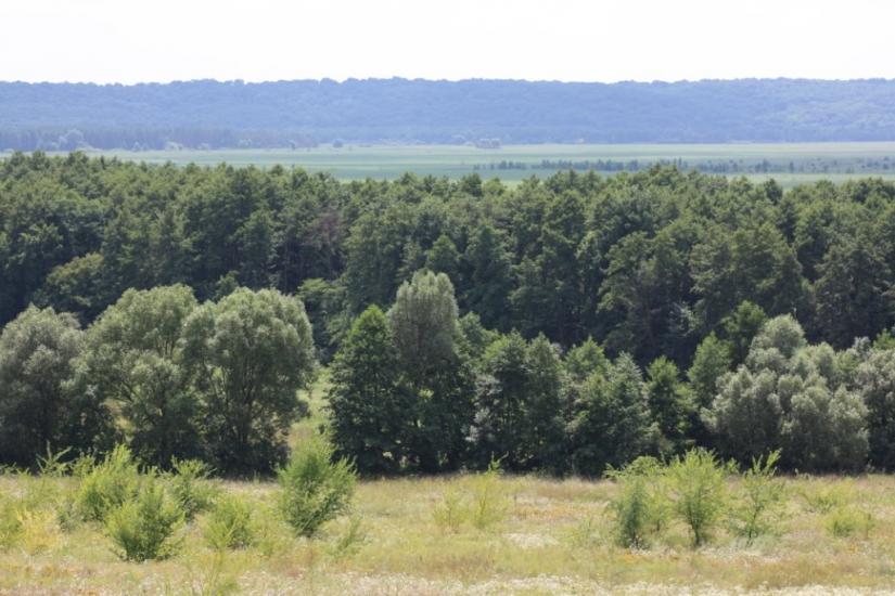 Піски-Удайські з panoramio.com - Пески-Удайские