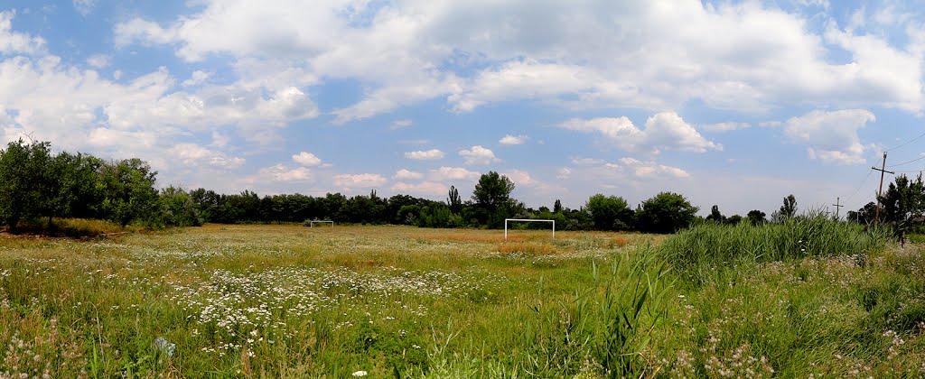 Новгородське з panoramio.com - Новгородське