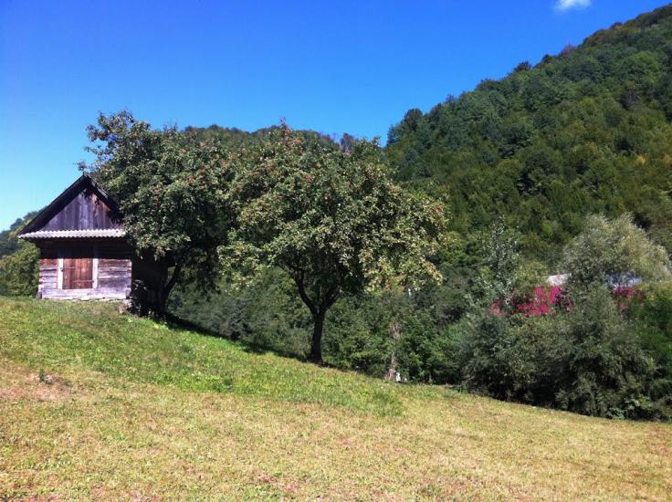 Гонцош з panoramio.com - Гонцош