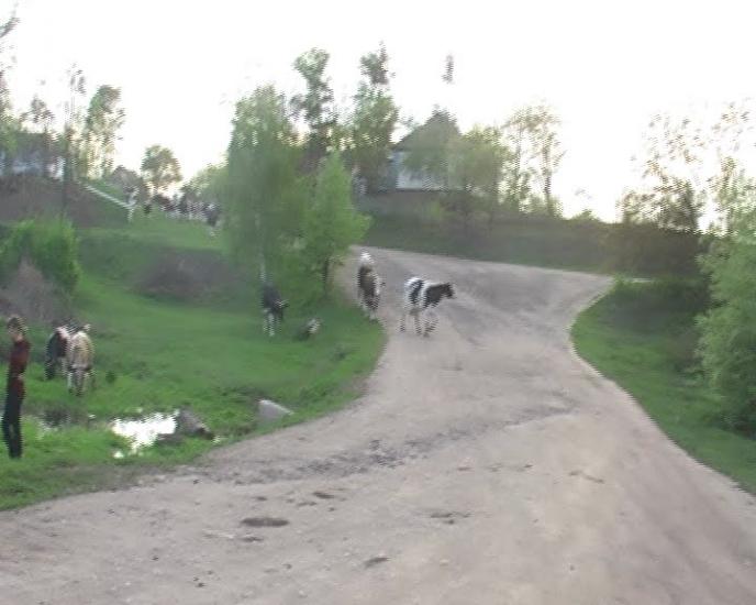 Горошків з panoramio.com - Горошков
