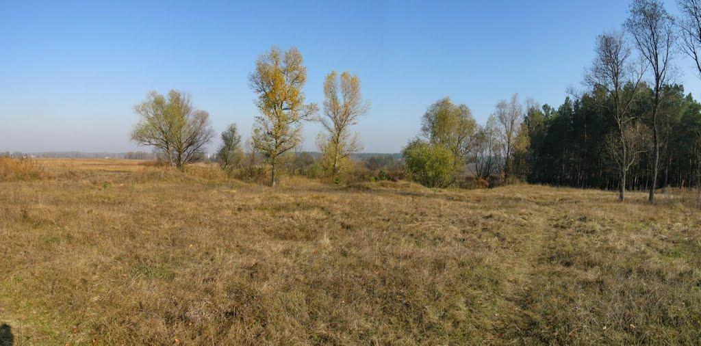 Бірки з panoramio.com - Бирки
