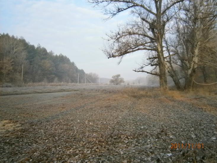 Пискунівка з panoramio.com - Pyskunivka
