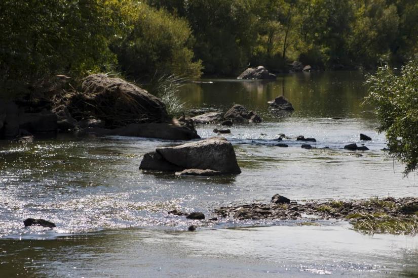 Недайвода з panoramio.com - Nedayvoda