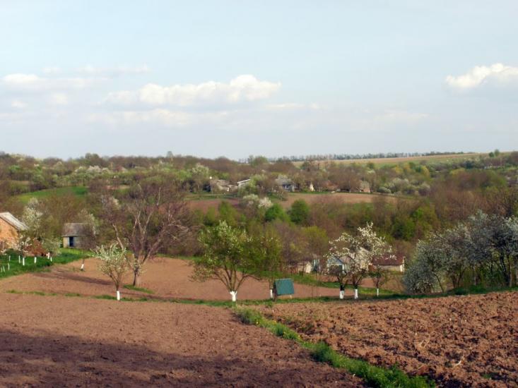 Любомирівка з panoramio.com - Любомировка