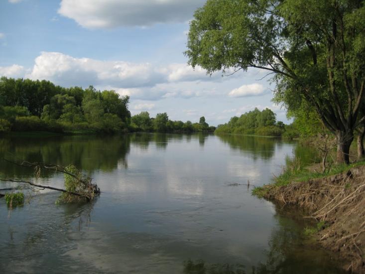 Озаричі з panoramio.com - Озаричи