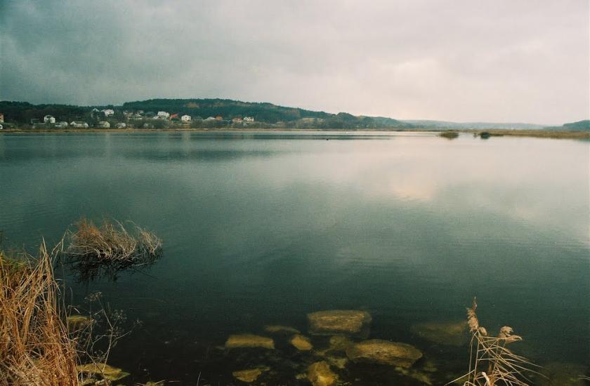 Івано-Франкове з panoramio.com - Ivano-Frankove