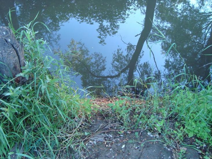 Георгіївка з panoramio.com - Георгіївка
