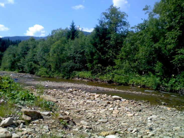 Новий Мізунь з panoramio.com - Новый Мизунь