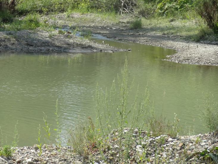 Верхні Петрівці з panoramio.com - Верхние Петровцы