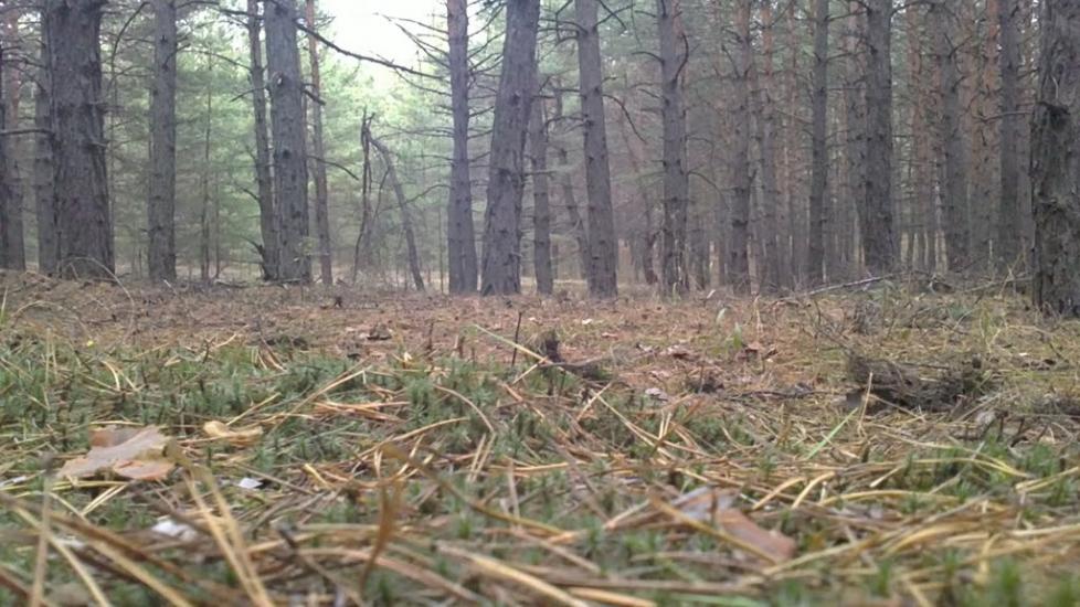 Черкаський Бишкин з panoramio.com - Черкаський Бишкин