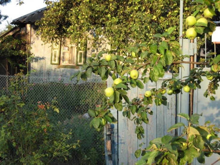 Слатине з panoramio.com - Слатине